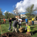 Service Projects in Colorado Springs: What You Need to Know