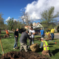 Making a Difference in Colorado Springs: Requirements for Participating in Service Projects