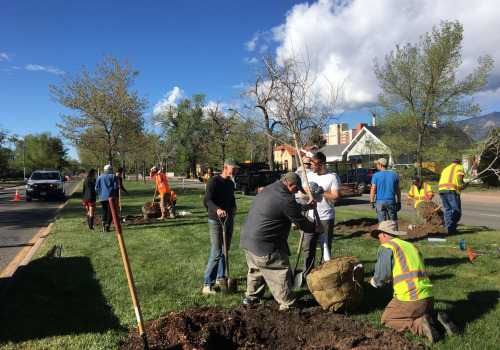 Service Projects in Colorado Springs: What You Need to Know