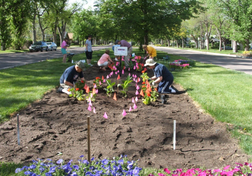 Make a Difference in Colorado Springs: Volunteer Opportunities