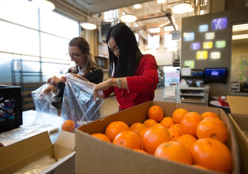Volunteer Projects in Colorado Springs: Make a Difference and Change Lives